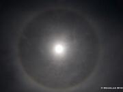 20100329_MoonDog