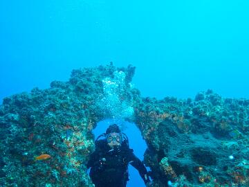 IMG 2569 - Version 2  China Wall/Flinders 12 April 2008 : China Wall, Diving, underwater, UniDive, wide angle