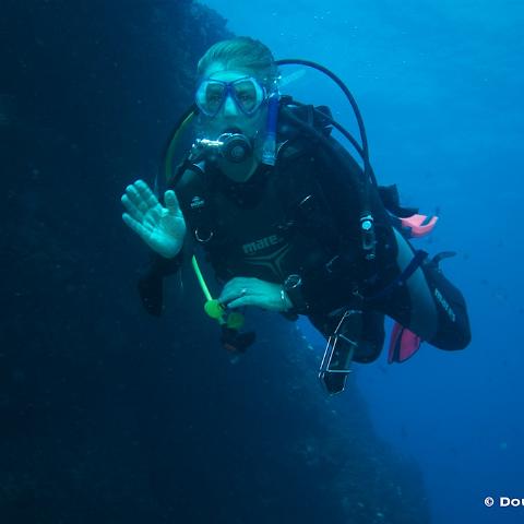 IMG 6754  Hendersons, North Morton : 20110422_Hendersons, diving, underwater, unidive, Mike Pheasant