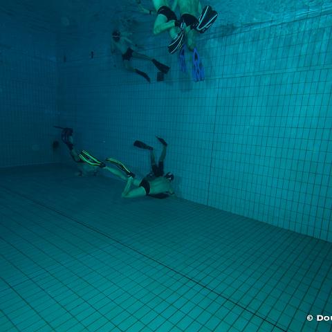 MG 8748  20140524 Under water rugby Training : UnderWaterRugby