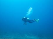 20180929_Straddie