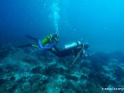 Dive